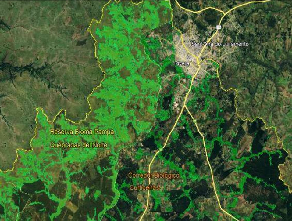 corredor biologico curticeiras MONTE ENOC PAZ Y MONTE 2
