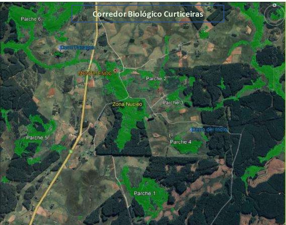 corredor biologico curticeiras MONTE ENOC PAZ Y MONTE